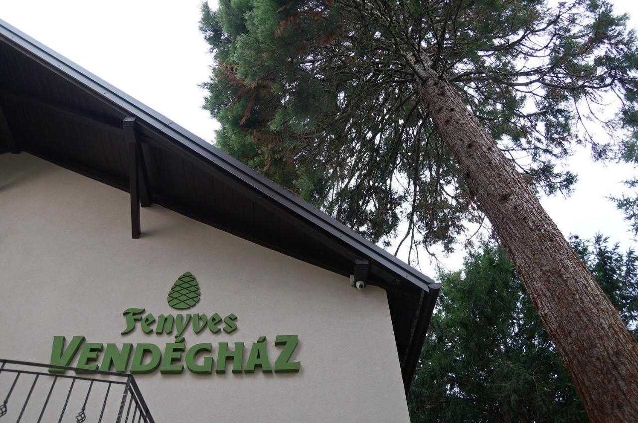 Appartement Fenyves Vendeghaz à Bábolna Extérieur photo